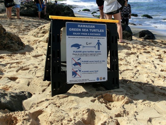 近づきすぎてはいけません　の看板が立っています。<br /><br />マナーは守りましょう。