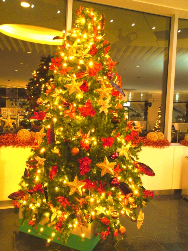 展望台に上がってみました。<br />クリスマスツリーだっ♪