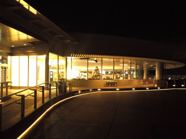 外から中をぱちり。