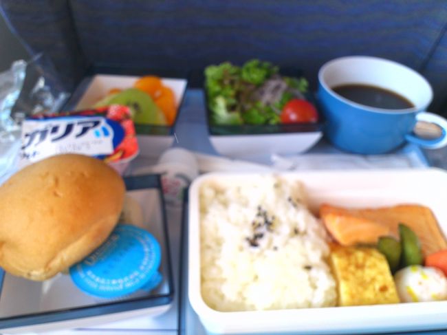 機内食です。<br /><br />韓国人ＣＡさんに、<br />「和食？洋食？」<br />と聞かれたので、<br />「洋食！」<br />と答えたらこれが出てきたのですが・・・<br /><br />どうみても和食よね？<br />ＣＡさんに<br />「これって洋食？」<br />とたずねても、<br />「洋食、洋食！」<br />とゴリ押し（汗<br /><br />ななめ前の人は、スクランブルエッグのようなものだったのだけれども・・・<br /><br />めんどうだし、どちらでもよかったのでそのままいただきました。<br />鮭が美味しかった。