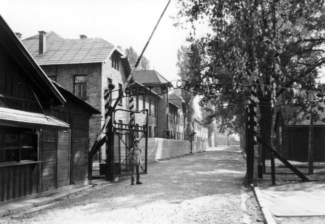 アウシュビッツ収容所<br />周囲は，花が咲き乱れていてのどかな田園風景が広がっているのに，ここで恐ろしい出来事があったとは信じられませんでした。