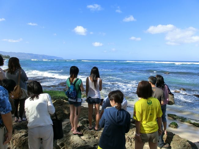 みんな、海をのぞいています。<br /><br />そうなんです･･･天気は良かったのですが、甲羅干しで上がってくるホヌさんはいませんでした。<br /><br />波打ち際に、「あれかなぁ」って影が見えるのですが･･･。<br /><br />残念。また今度の機会に。