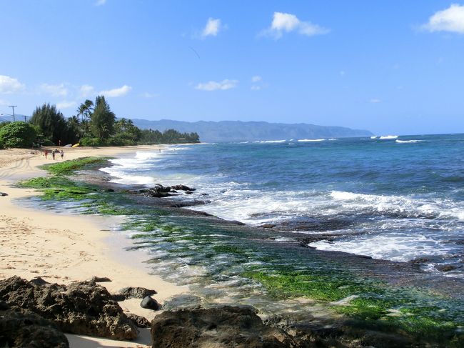 こんな感じで砂浜が続いています。