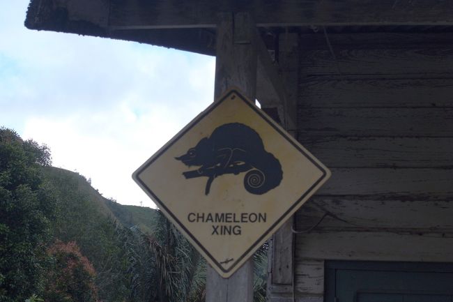 カメレオンファーム