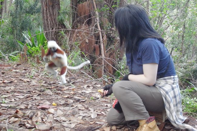 やっと横飛びするとこ見られました
