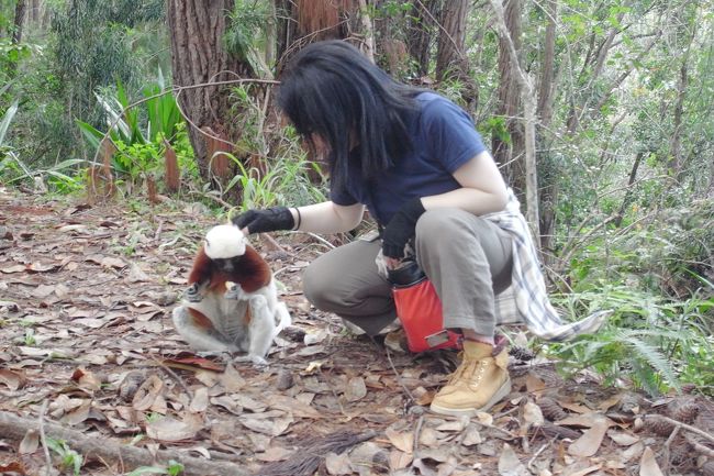 毛は結構やわらかい