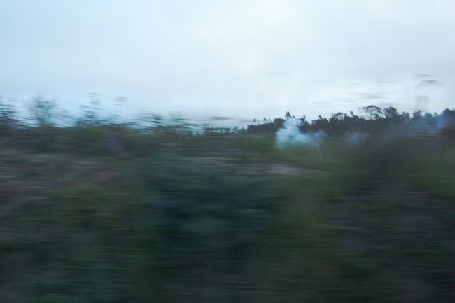 炭焼きの煙<br />電気代が高いので炭を使っている家庭が多いのだとか<br />