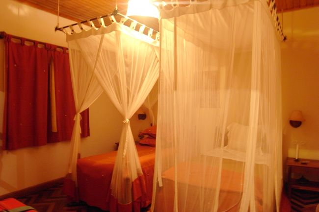 何号ロッジだったか忘れた