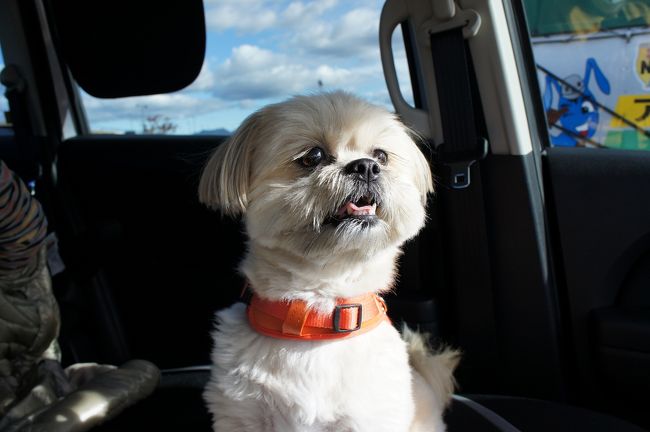 <br />嬉しそうな顔