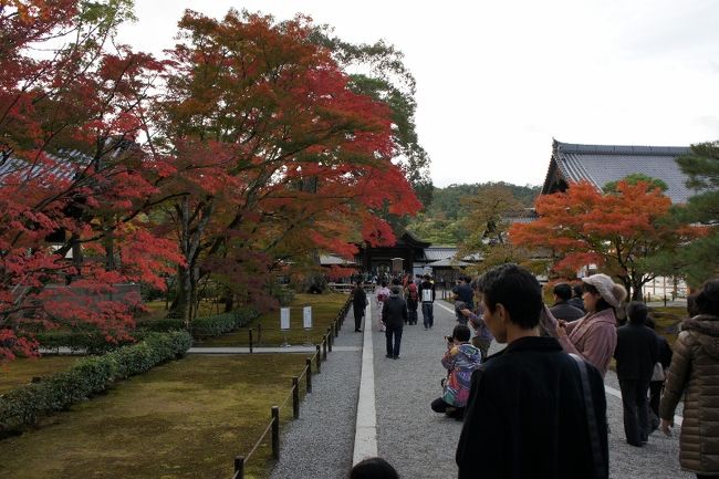 <br />紅葉も始まりかけで綺麗です