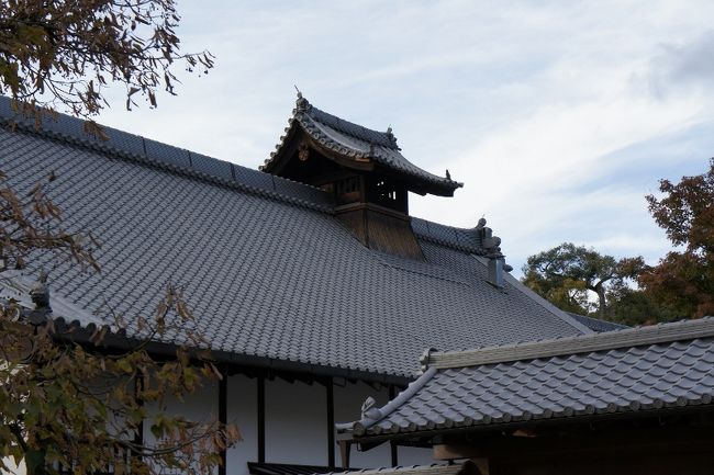 <br />何だろう？