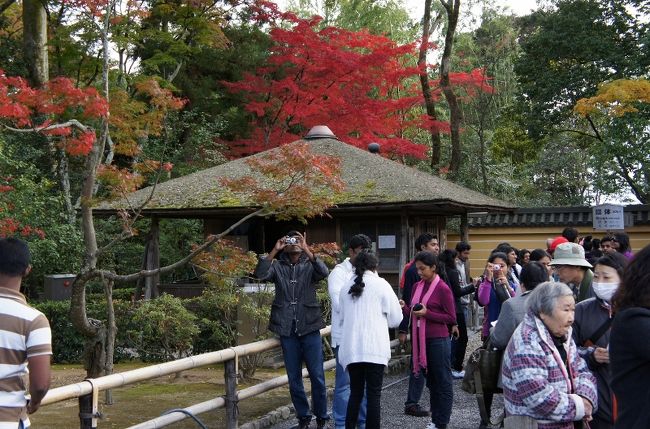 <br />外国人観光客が私達を撮ってます<br /><br />この後、何かが起きる