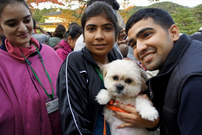 インド・ネパールなどの国々の観光客？<br />「絆」というプレートを胸につけてました。<br />皆さんフレンドリー<br /><br />２０人くらいの人達に囲まれた私達家族<br />もちろんビッキー・i ちゃん狙い<br /><br />他の日本人観光客は「何々有名人が来てるの」<br />「な〜んだ犬かぁ」だって。トホホ。<br />