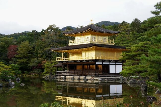 <br />何十年ぶりでしょう？