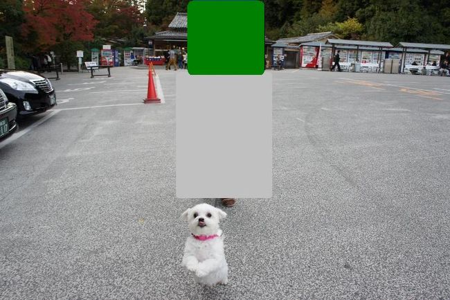 <br />出発前の不安そうな顔とは大違い