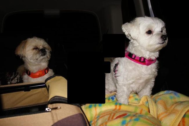 <br />さ〜て清水寺に向かいますよ