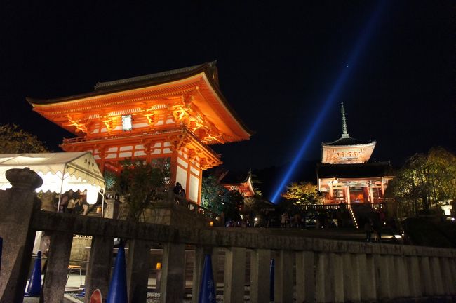 「手持ち夜景モード」<br /><br />再生を押して情報を見てビックリ<br />「これじゃ、ノイズが多くて見れないなぁ」<br /><br />帰宅後ＰＣで見てソニーミラーレスに脱毛(笑)<br /><br />ISO 6400 <br />SS 1/20 