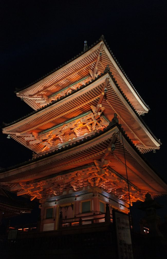 「手持ち夜景」<br /><br />奥様が撮影<br /><br />ISO  5000<br /><br />SS   1/30