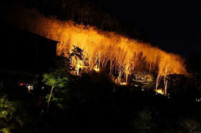 <br />幻想的です