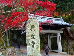 9:55　興聖寺に到着

母「ちょっと、この坂を登るの？ 取りあえず先に行くからね！」

やっと追いついたと思ったら、相変わらずスタスタ行っちゃう母

