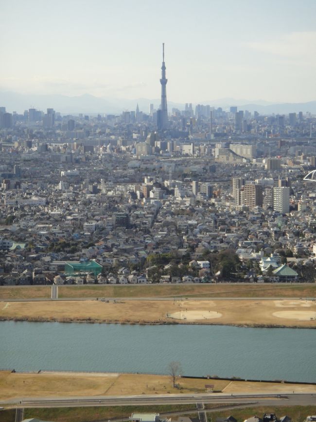 『市川を歩く (1) ―須和田から国分寺に―』市川(千葉県)の旅行記・ブログ by traveldogさん【フォートラベル】