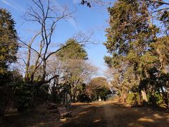 六所神社から西に向かい、最後に坂を上って、須和田公園に着きました。須和田台地上にあり、ここから弥生中期から平安初期にかけての住居跡が発見されています。西に国府が、北に国分寺があり、当時としては人口密集地だったのです。
さてトイレはあるかなと見回してもそれらしき建物がありませんでした。