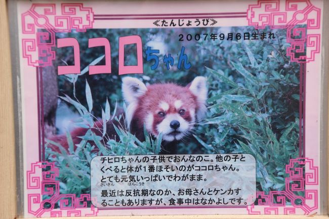冬の東武動物公園と秋がテーマのウィンターイルミネーション（1