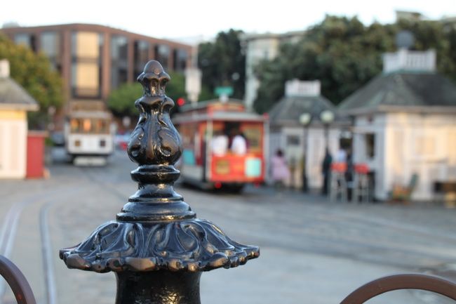 一眼レフ撮影です