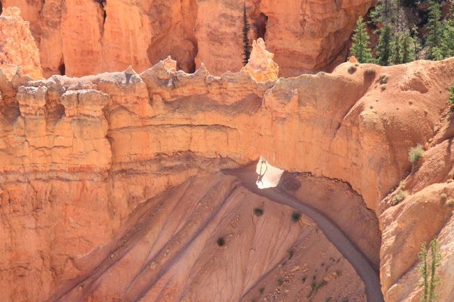 昨日は夕刻の撮影でしたが、昼間もとっておきました。下の方まで歩けます。