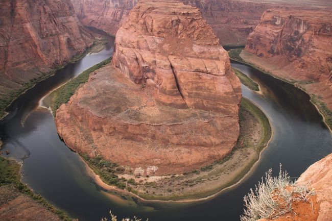 ホースシューバンドを上から見下ろしてます。