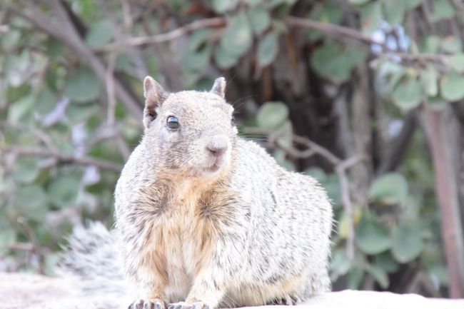 かわいい顔してるんですけど