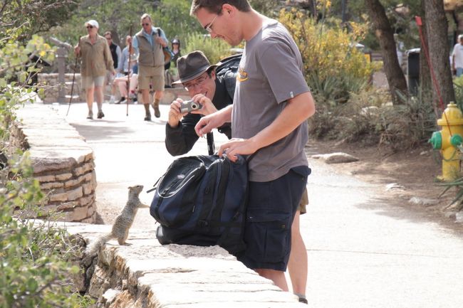 だめですよ外人さん
