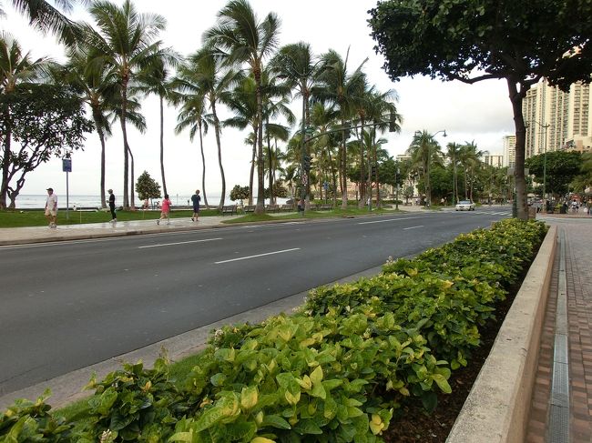 朝食を買いに、ホテル１階にあるＡＢＣストアまで。<br /><br />ついでに、朝のカラカウア通りを。<br /><br />まだ人も少なくすがすがしい雰囲気です。<br /><br />この雰囲気が好きなんです。<br /><br />ちょっと朝寝坊しすぎました。慌てて支度をして、ヒルトン行きのバンを待ちます。