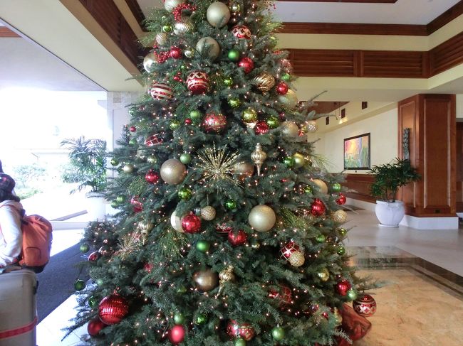 クリスマスツリーもあり。<br /><br />見せてもらった部屋もすばらしく、眺望も最高でした。