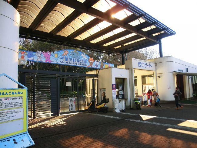 12年の締めくくりは 千葉市動物公園 千葉市 千葉県 の旅行記 ブログ By ニッキーさん フォートラベル
