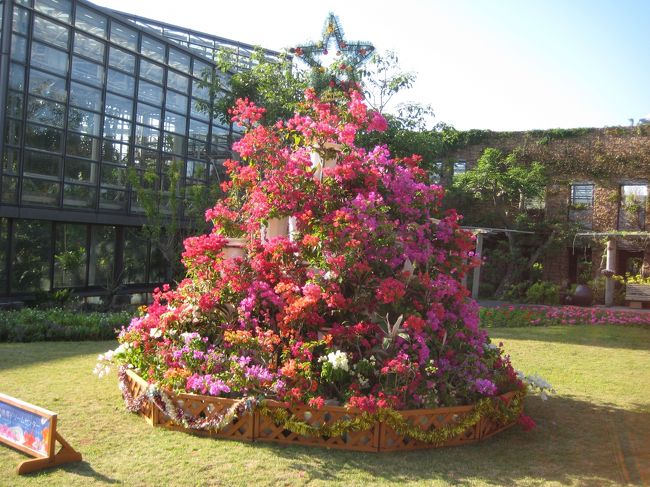 お花のクリスマスツリー。