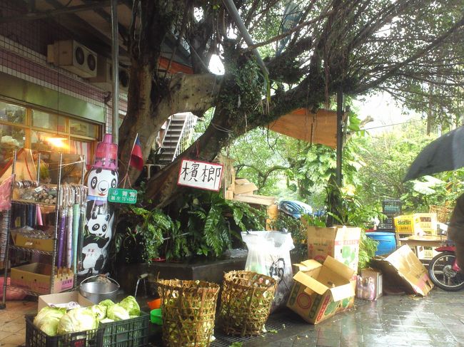 ザ・南国！な感じ！