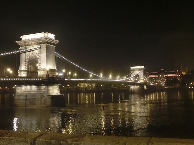 ブダペストに到着したのは夜。ご飯を食べにでかけます。ホテルからは歩いて行ける距離。途中で鎖橋が見えてきました。ライトアップされてキレイ〜。