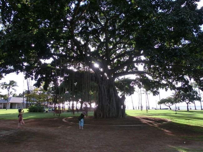 夕方、ホテルからすぐの、カピオラニ公園まで散歩してきました。