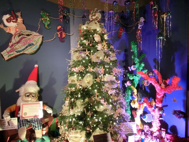 まぁハワイでは当たり前なのでしょうが･･･サンタクロース＝雪　という<br />概念はないんでしょうネ。