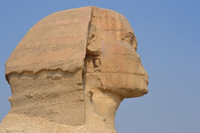 まだ色が残ってるね