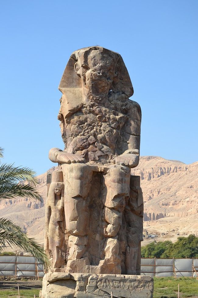 顔が崩れちゃってるのが残念ね