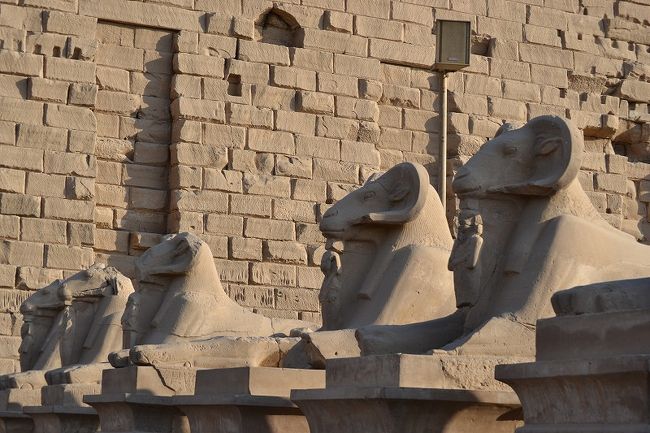 スフィンクス参道