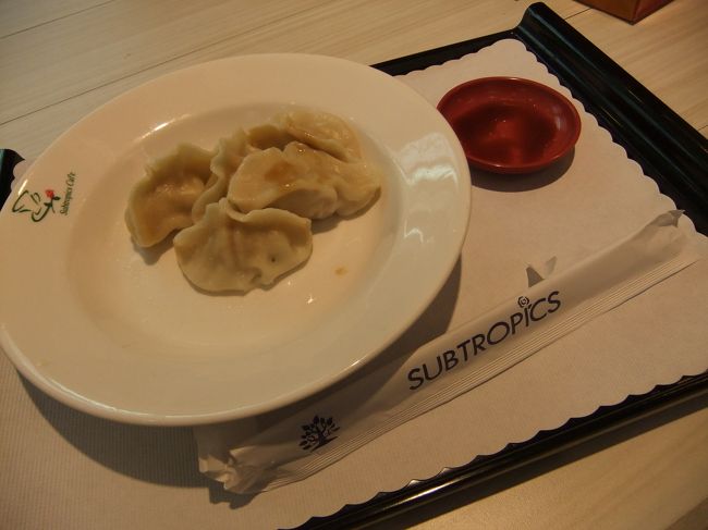 空港で食べた餃子。<br /><br />最後まで食べ続けます。