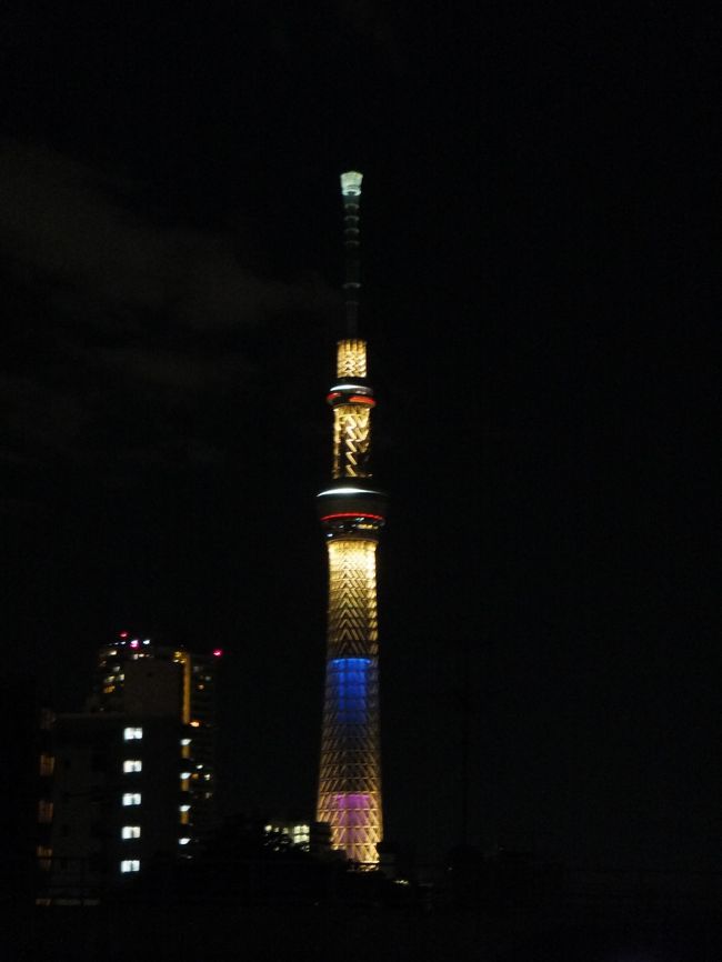 新春 スカイツリー初登り 13年元旦 浅草 東京 の旅行記 ブログ By 夏への扉さん フォートラベル