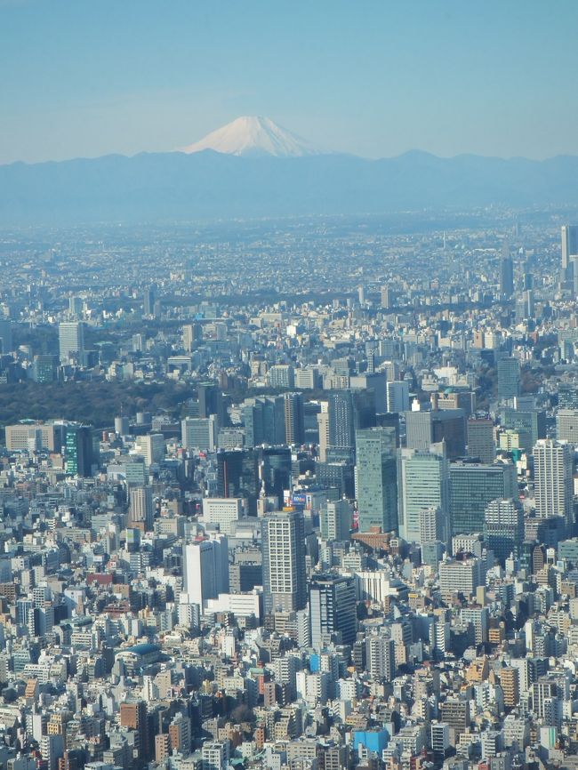 新春 スカイツリー初登り 13年元旦 浅草 東京 の旅行記 ブログ By 夏への扉さん フォートラベル