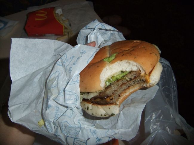 この日の夕食は…<br /><br />まさかのマック！<br />もうね、言葉通じないのでマックしか頼れないんです。<br />トルコって英語すら通じないんですね。トルコ語とかできるわけない。<br /><br />とりあえずトルコ限定のキョフテバーガー！<br />なんだろう…。飽きる味。<br />決してまずいわけじゃないけど…。味が濃すぎるのかなぁ。<br />安心のマックのはずが、まさかの失敗でこの日は終わります。