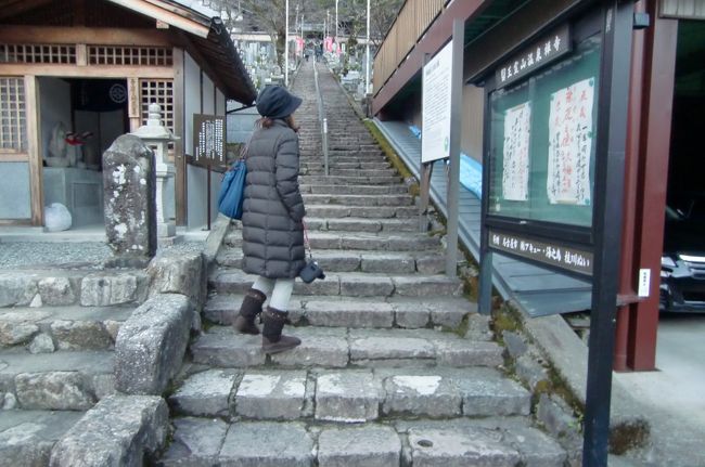 ちょっと長いめの石段を登り・・・