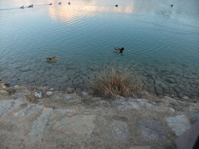 水が透き通ってる！！