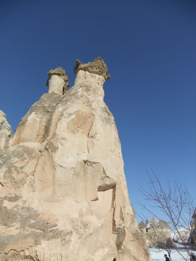 なんか本当すごいですよね。圧巻。